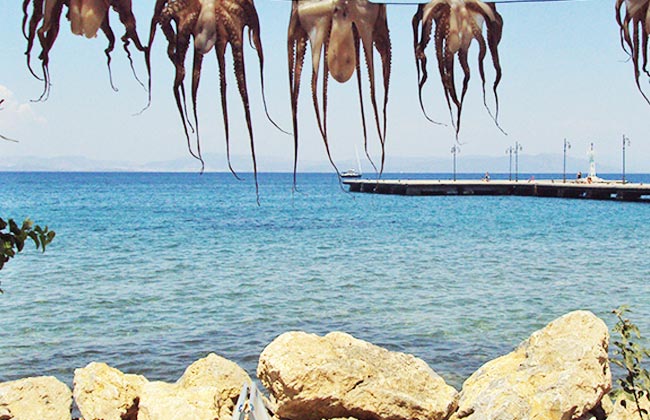 kalymnos-9.jpg