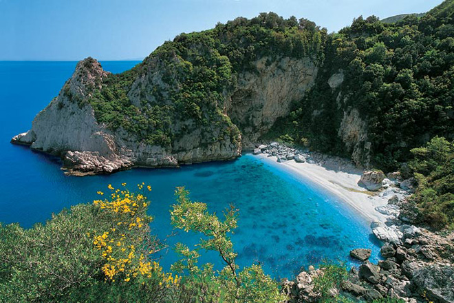pilio
