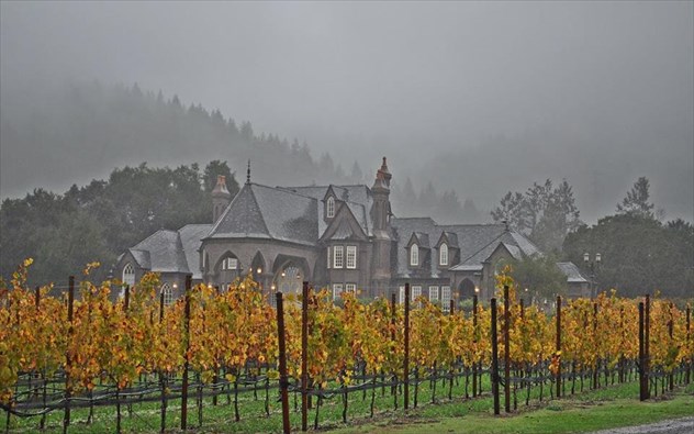 ledson winery