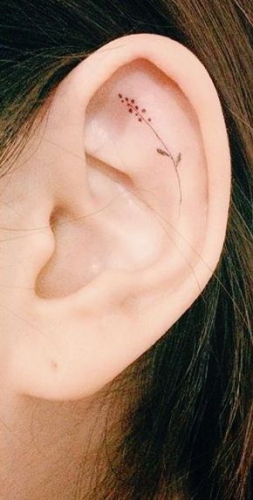 ear 0