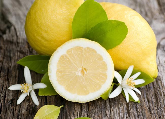 lemonia