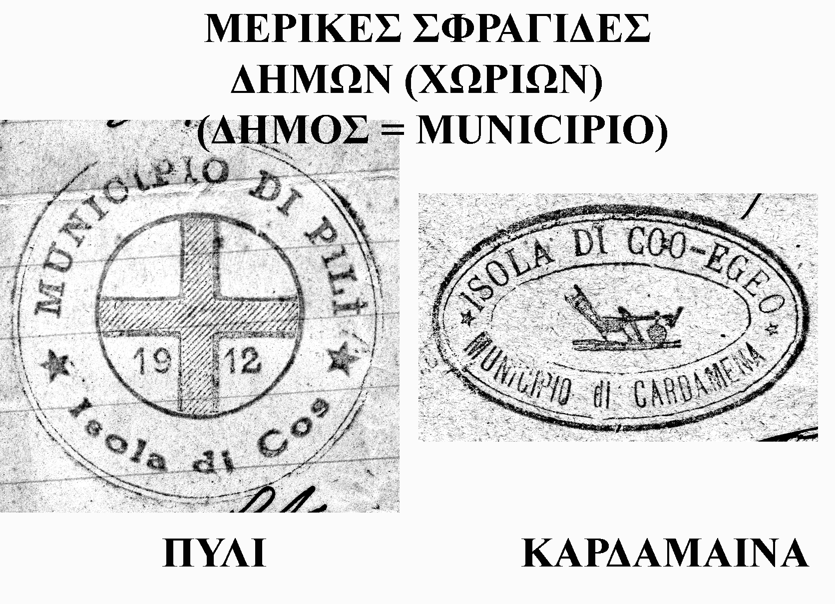 kogio4
