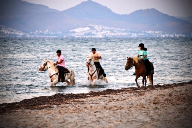 Κέντρο Θεραπευτικής Ιππασίας "Errikas Horse Farm"