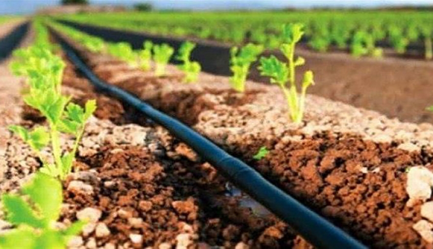 Αγροτες της Κω για το νερό “Δεν θα μπορούμε να καλλιεργήσουμε αν δεν υπάρξει συγκροτημένο σχέδιο ορθής διαχείρισης”