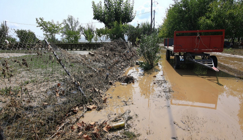 ΕΛΤΑ: 17 τόνοι ειδών πρώτης ανάγκης για τους πληγέντες της Καρδίτσας