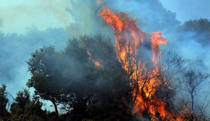 Ρόδος – Τώρα: Πυρκαγιά Στην Ψίνθο