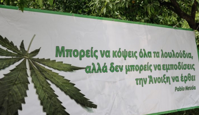 ΟΚΑΝΑ και ΚΕΘΕΑ προειδοποιούν: Η νομιμοποίηση της φαρμακευτικής κάνναβης οδηγεί σε αύξηση των χρηστών