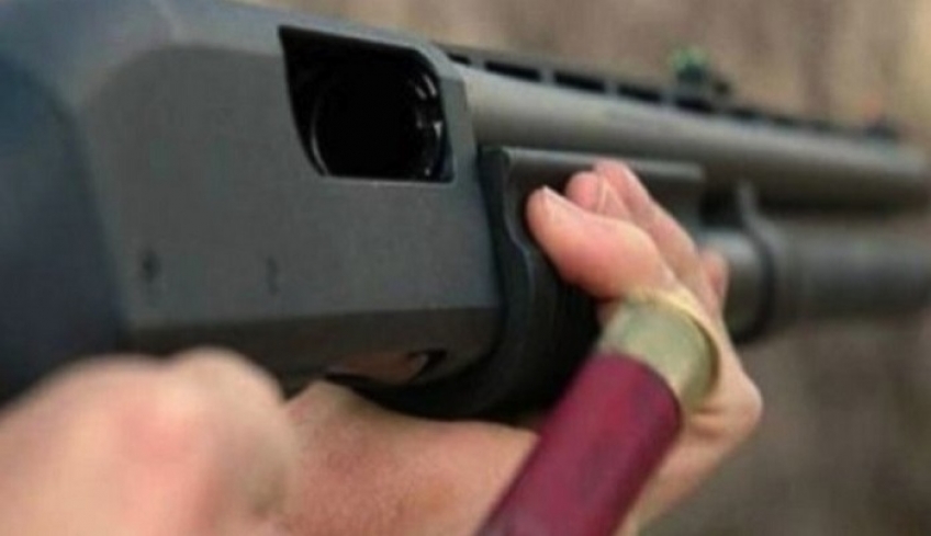 Καλύμνιος κατηγορείται ότι θανάτωσε 15 αιγοπρόβατα