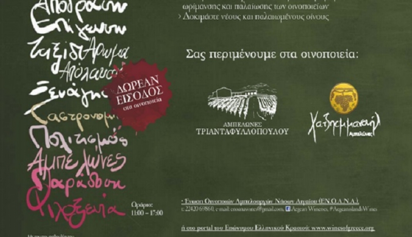 ΕΥΡΩΠΑΙΚΗ ΗΜΕΡΑ ΟΙΝΟΤΟΥΡΙΣΜΟΥ: Ανοιχτά την Κυριακή τα οινοποιεία των Δρόμων του Κρασιού
