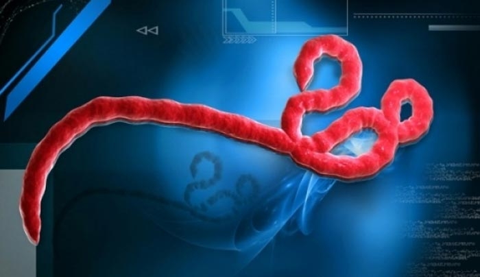 Πεθαίνει από έμπολα η Βρετανίδα νοσηλεύτρια που "ανάρρωσε" πέρσι από τον ιό