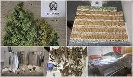 Συνελήφθησαν δύο ημεδαποί για κατοχή – καλλιέργεια κάνναβης στην Τήνο