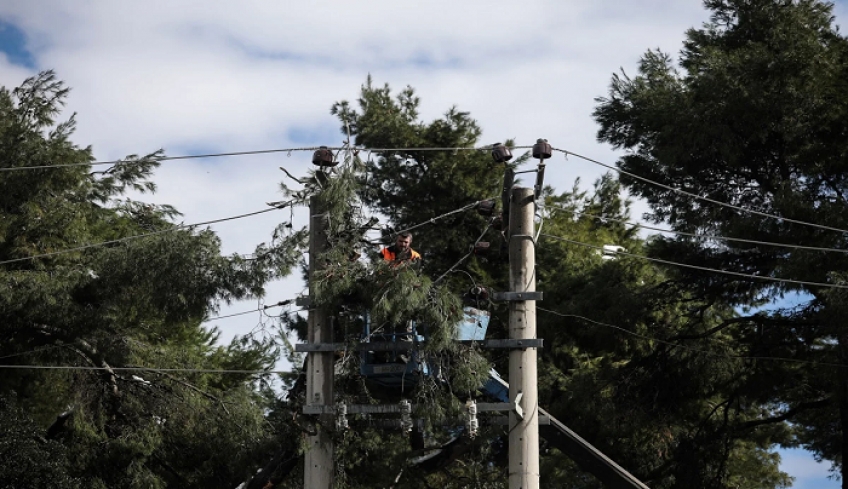 Τραγωδία στην Εύβοια: Τρεις προσαγωγές για τους τρεις νεκρούς από ηλεκτροπληξία