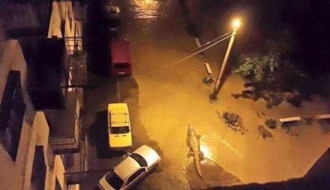 Τιφλίδα: Τουλάχιστον 12 νεκροί από τις φονικές πλημμύρες - Άγρια ζώα κυκλοφορούν ελεύθερα στους δρόμους