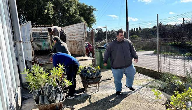 Εντατικό πρόγραμμα διανομής φυτών από Περιφερειακό Φυτώριο