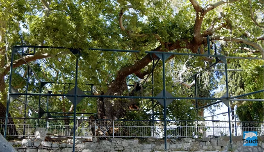 Ένα πολύ όμορφο βίντεο για την Κω (βίντεο)