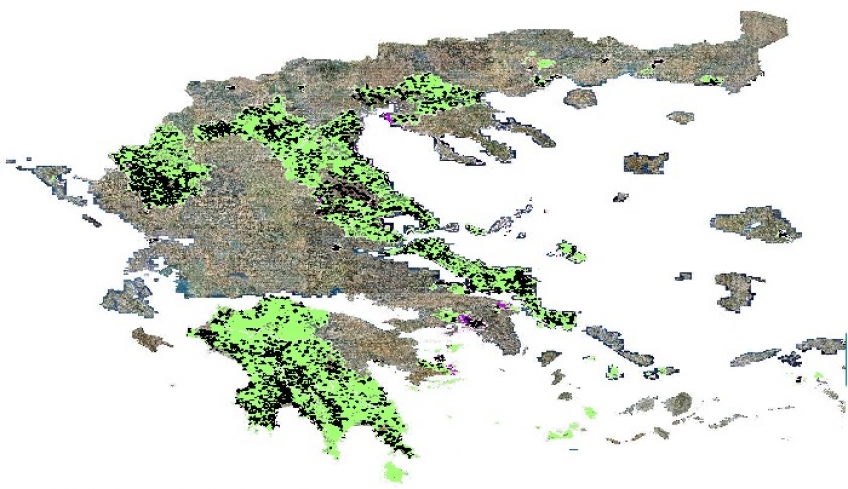 Βουλευτές Σύριζα σχετικά με τους δασικούς χάρτες στις νησιωτικές περιοχές
