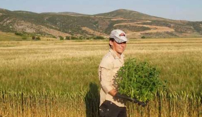 Στον ΟΓΑ μέσα στο εξάμηνο για νεοεισερχόμενους κατ’ επάγγελμα αγρότες
