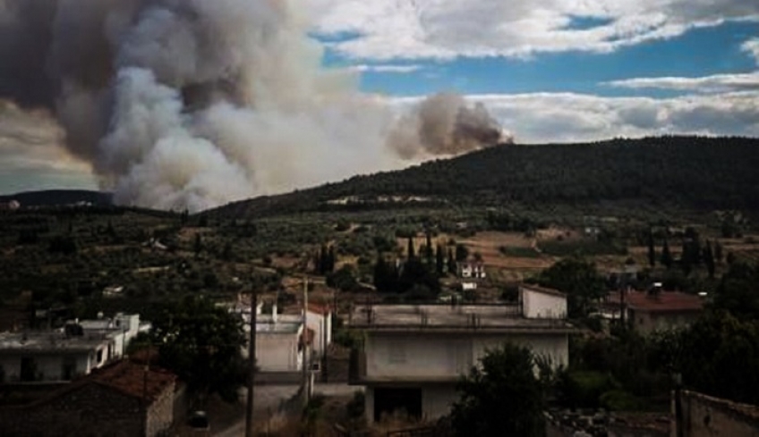 Ολονύχτια μάχη των πυροσβεστών με τις φλόγες στην Τανάγρα