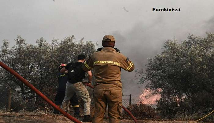 Φωτιά στη Μαγνησία: «Με την πρώτη βροχή, οι καρκινογόνες ουσίες της πυρκαγιάς θα περάσουν στο νερό που πίνουμε» - Κραυγή αγωνίας από καθηγητή