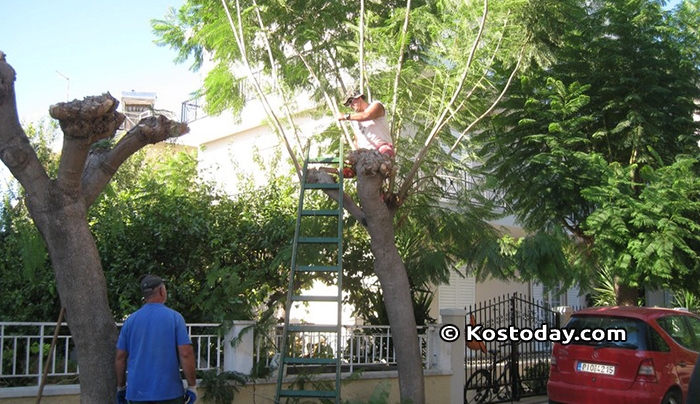 Δήμος Κω: Προγραμματισμένες εργασίες από Δευτέρα 14-08-2017 έως Παρασκευή 18-08-2017