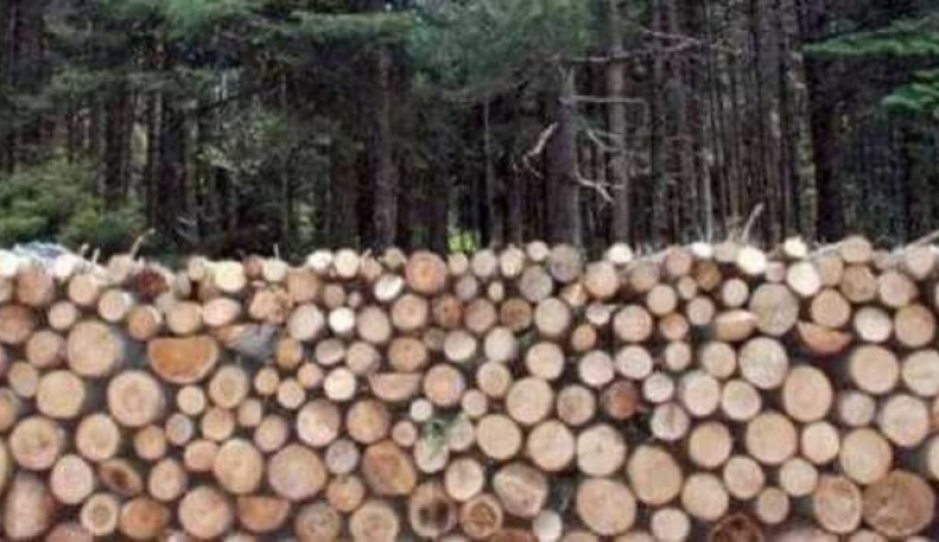 Εκδόθηκε ειδική διάταξη για την καυσοξύλευση στα νησιά μας