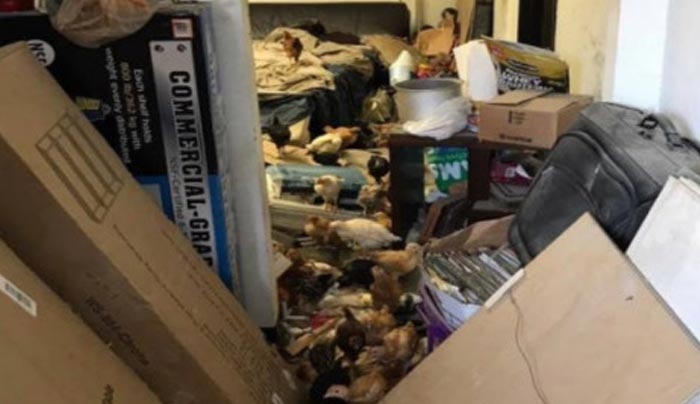 Οργή! 1.000 νεκρά ζώα σε αποθήκη, άλλα τόσα σε άθλια κατάσταση