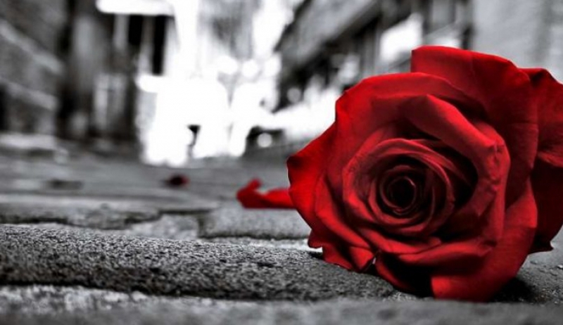 Τα ζώδια του σαββατοκύριακου 21/22/04