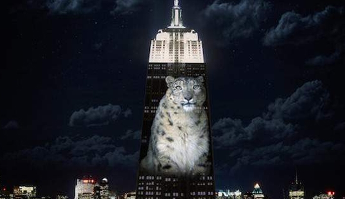 Είδη προς εξαφάνιση «σκαρφάλωσαν» στο Empire State Building -Ενας Ελληνας πίσω από την ιδέα [βίντεο]