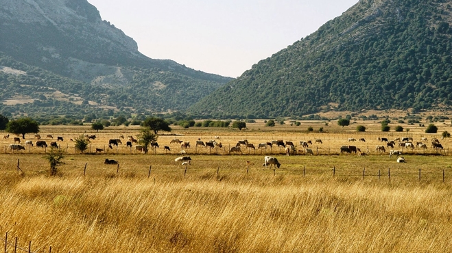 Ποντάρουν στον πρωτογενή τομέα για ανάπτυξη της οικονομίας
