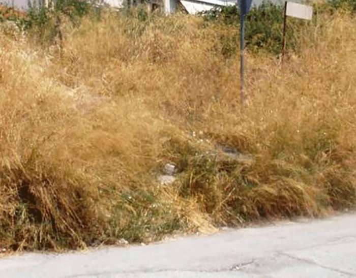 Ακαθάριστα οικόπεδα: Αυτή είναι η νέα πλατφόρμα – Τι ισχύει για τα πρόστιμα