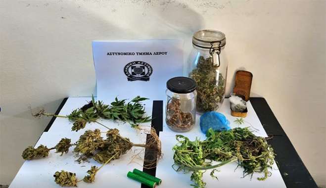 Συνελήφθησαν δύο ημεδαποί για κατοχή και καλλιέργεια κάνναβης σε νησί των Δωδεκανήσων
