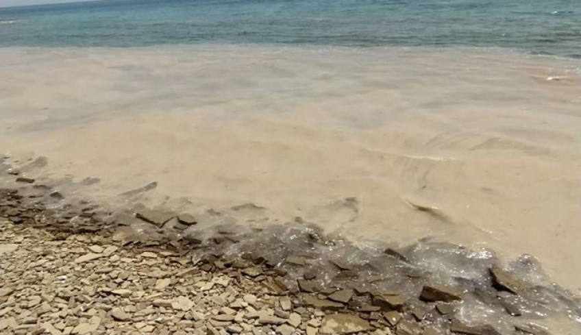 Λήμνος: Συναγερμός για τη βλέννα από τον Μαρμαρά – Τι αποφασίστηκε από το υπουργείο Περιβάλλοντος