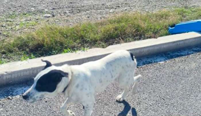 Ανοιχτή επιστολή διαμαρτυρίας κατοίκων της περιοχής Λαγκάδα της Κω
