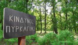 Έκτακτο Δελτίο Υψηλού Κινδύνου Πυρκαγιάς για 10-08-2026