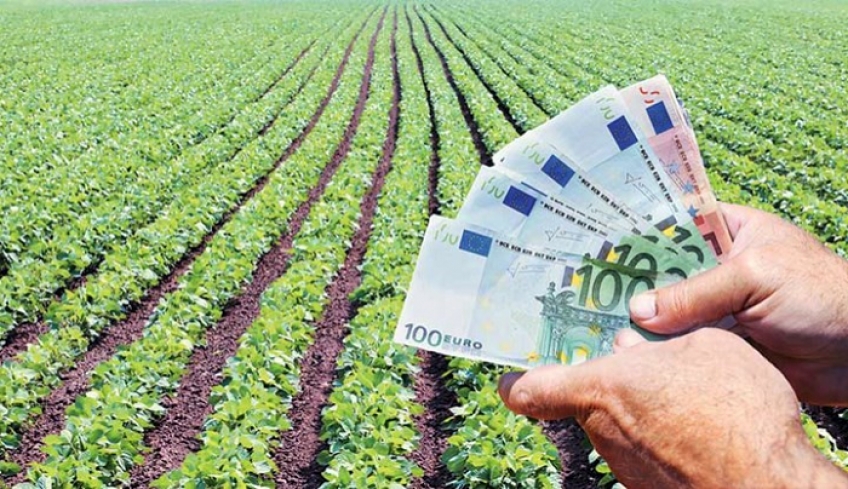 Επιστολή παρέμβασης της Περιφέρειας για τα δικαιολογητικά αποζημειώσεων των αγροτών
