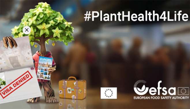 ΥπΑΑΤ: Η εκστρατεία #PlantHealth4Life επιστρέφει