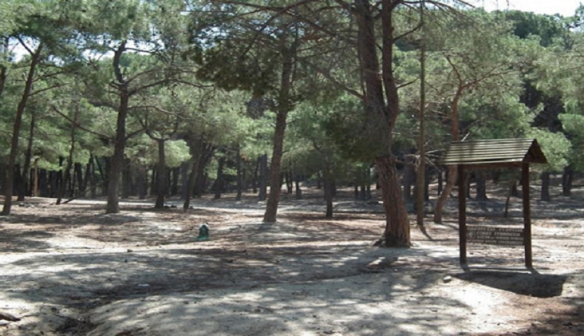 Πολιτική Προστασία Κω: Απαγόρευση κυκλοφορίας εντός δασών περιοχής Κω