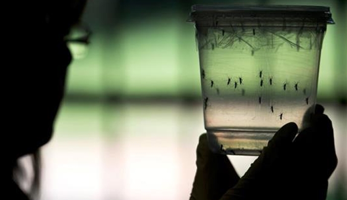 Aνησυχίες ότι ο ιός Ζίκα μπορεί να να κάνει ζημιά στον εγκέφαλο των ενηλίκων