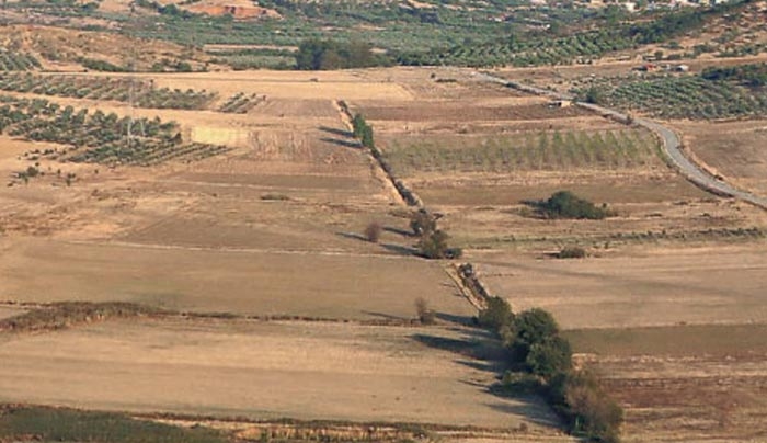 Τρία χρόνια προθεσμία στους αγρότες για να καλλιεργήσουν δασικές εκτάσεις